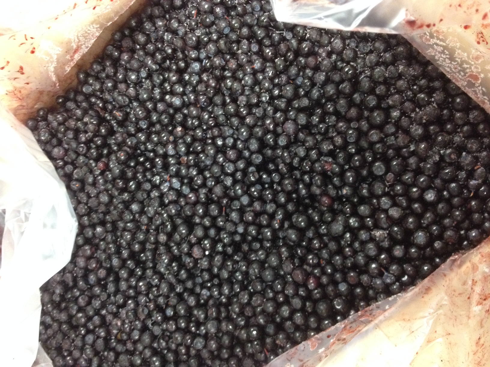 Mirtillo nero Biologico